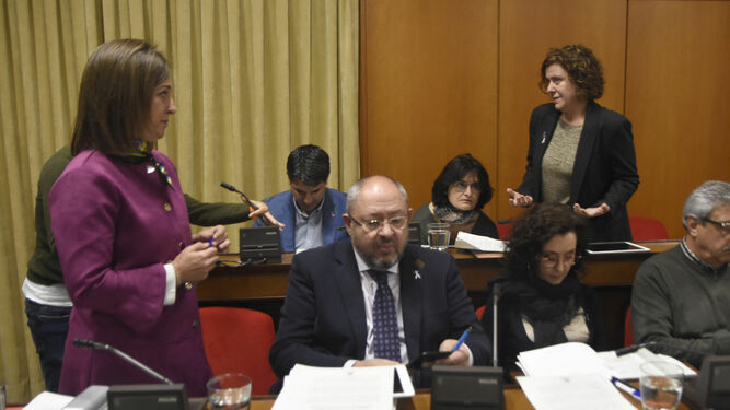 La portavoz del PSOE en el Ayuntamiento, Isabel Ambrosio, durante un Pleno.